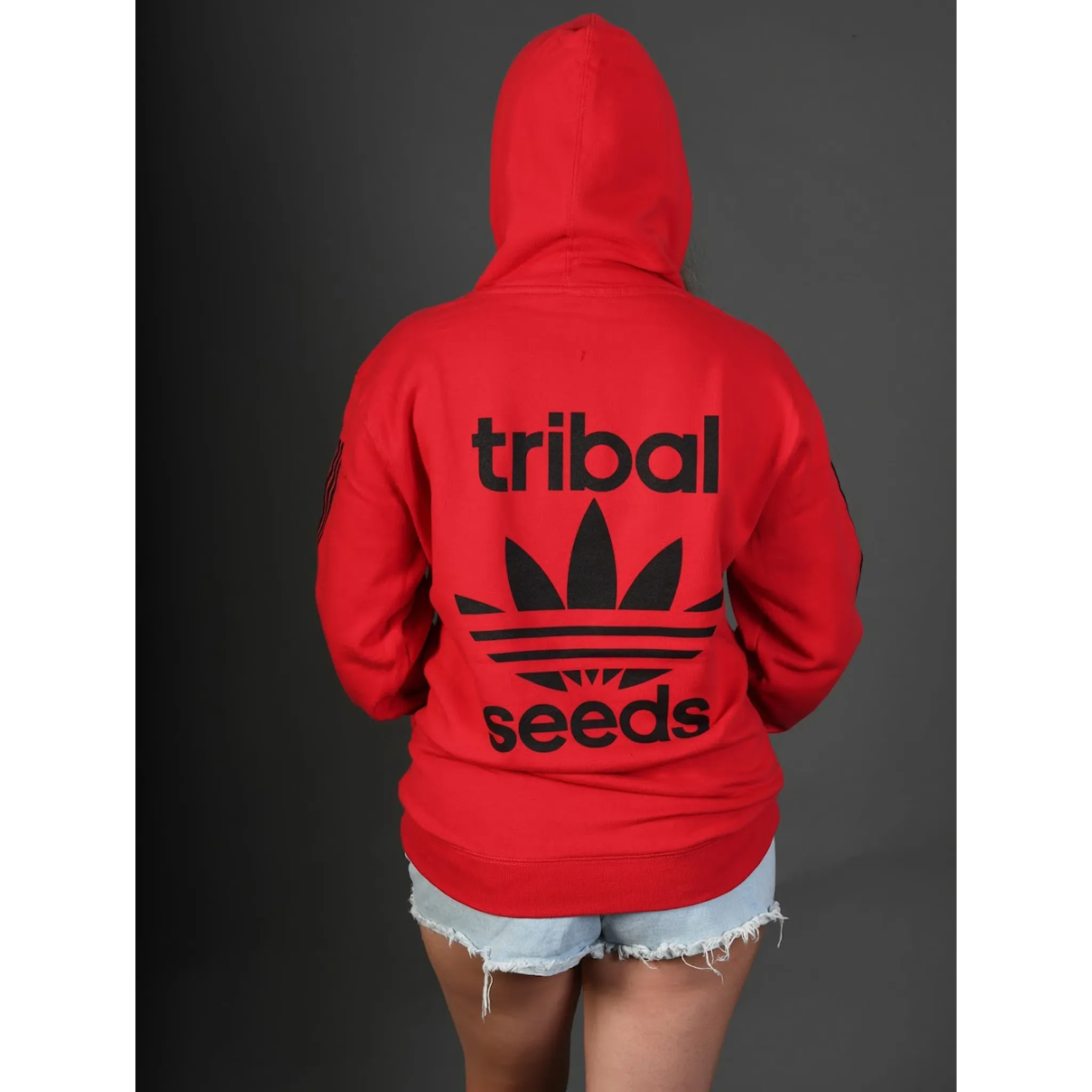 Red Stripe Pullover Hoodie